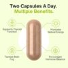 Thyrovanz Thyroid Support Benefits